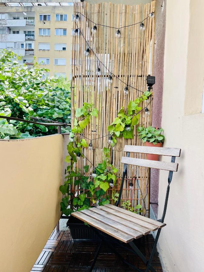 Little Cute Homey Apartman Satu Mare Exteriör bild