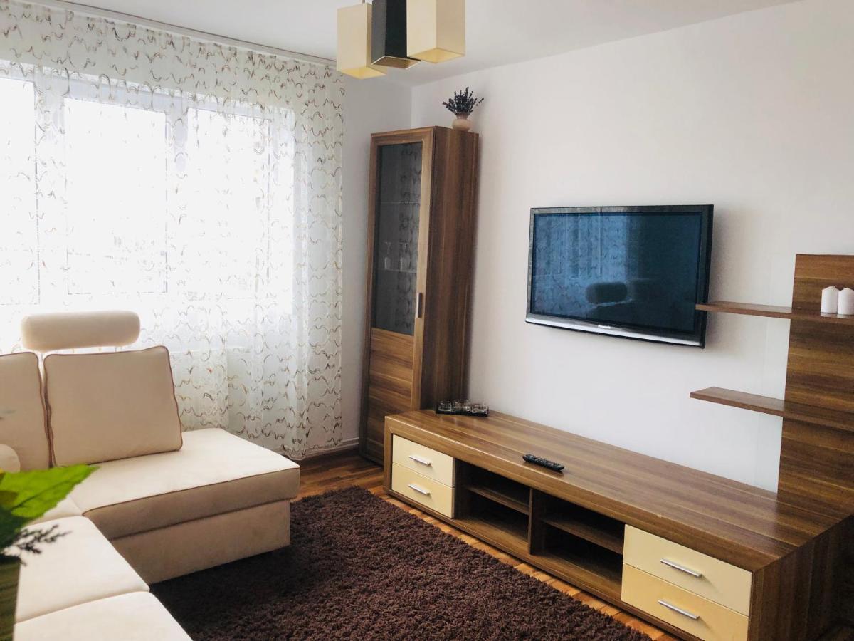 Little Cute Homey Apartman Satu Mare Exteriör bild