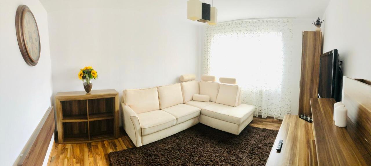 Little Cute Homey Apartman Satu Mare Exteriör bild